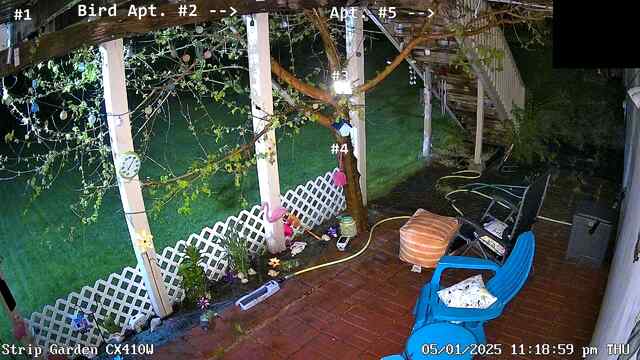 wxcam5